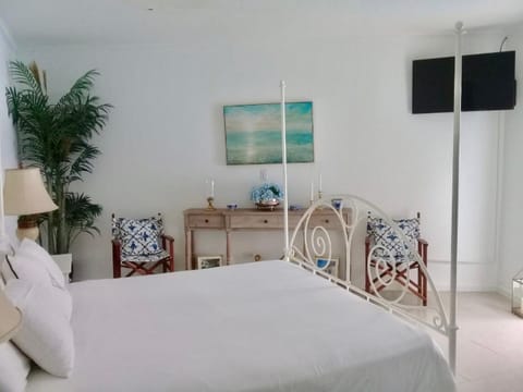 Ocean Front Property - Villa 4 Aruba w pool view Condo in Savaneta