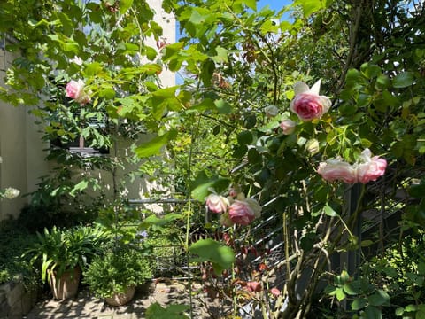 Patio, Summer