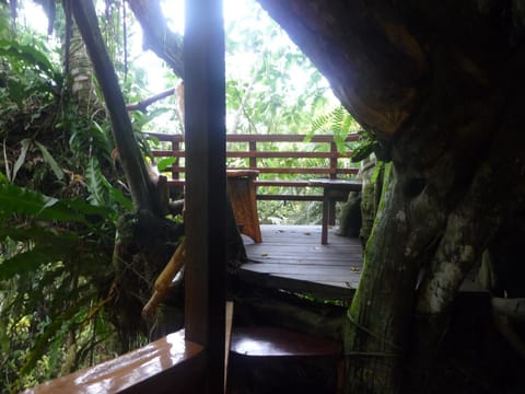 Topos Tree House Haus in Cahuita