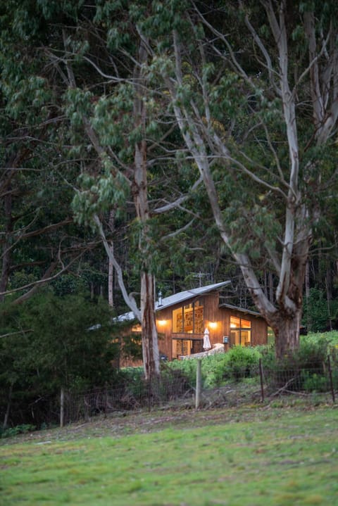 Adventure Bay Retreat Bruny Island Nature lodge in South Bruny