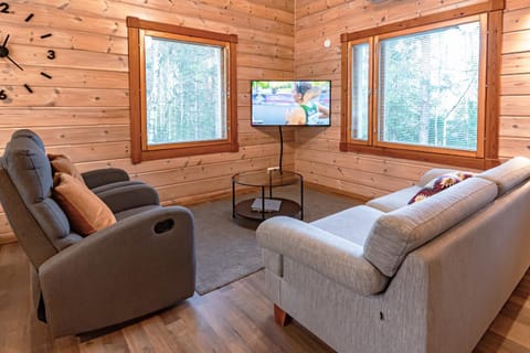 TV and multimedia, Living room, Seating area, air conditioner