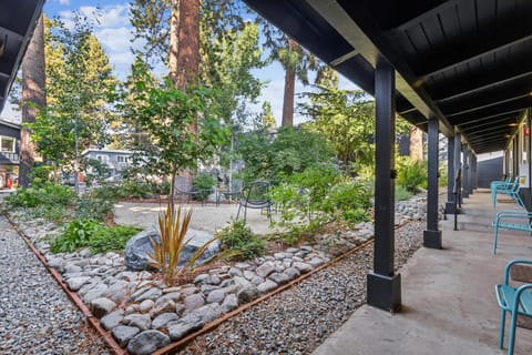 South Lake Chalet Boutique Suites - walk to Heavenly & Lake Tahoe Apartment in Stateline