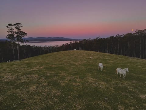 Farm Stay & Iconic Water Views - 32 Zachary Drive Haus in Mallacoota