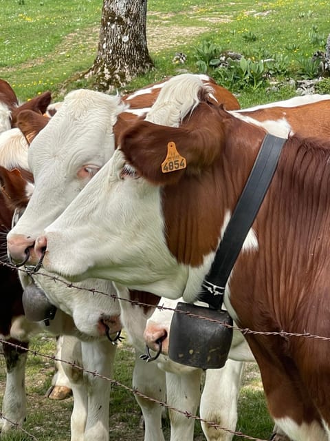 Auberge de la Perdrix Inn in Neuchâtel, Switzerland