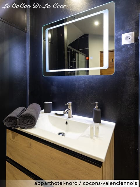 Le CoCon De La Cour Apartment in Valenciennes