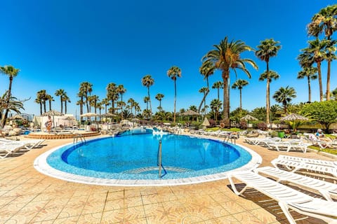 Day, Pool view, Swimming pool, sunbed