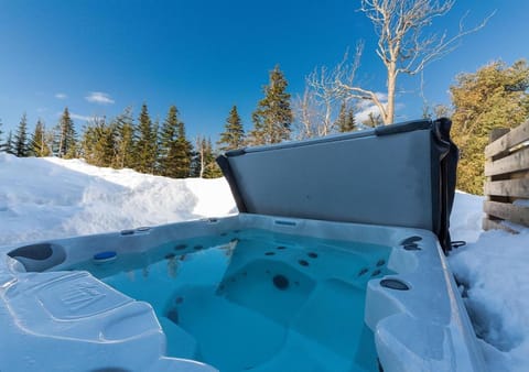 Natural landscape, Winter, Hot Tub