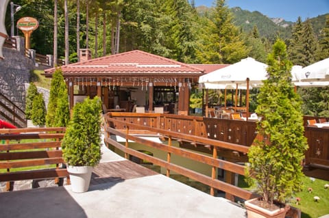 Cabana Schiori Bed and Breakfast in Sinaia