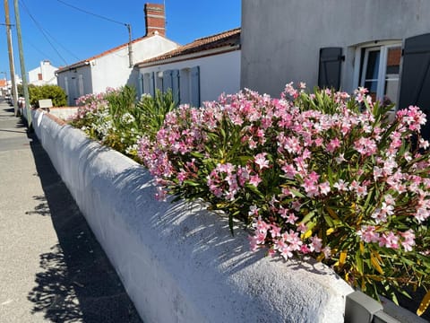 Property building, Spring, Day, Street view