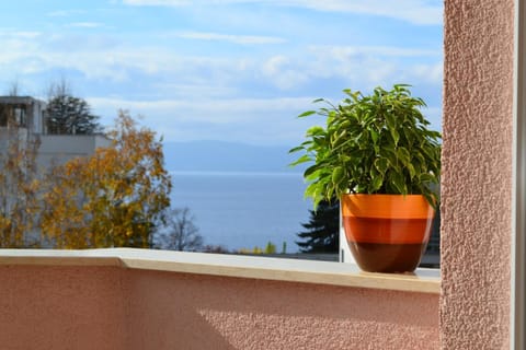 Day, Winter, View (from property/room), Decorative detail, Area and facilities