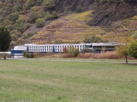 Ferienhaus MaLeFi 2 am Gülser Moselbogen Apartment in Koblenz