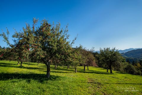 Apartma Lesjak - pobeg v naravo Apartment in Carinthia, Austria