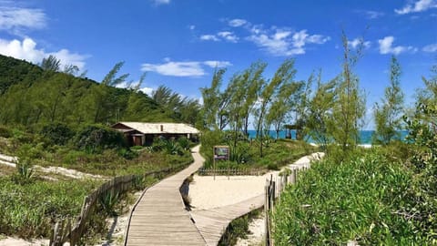 Natural landscape, Beach