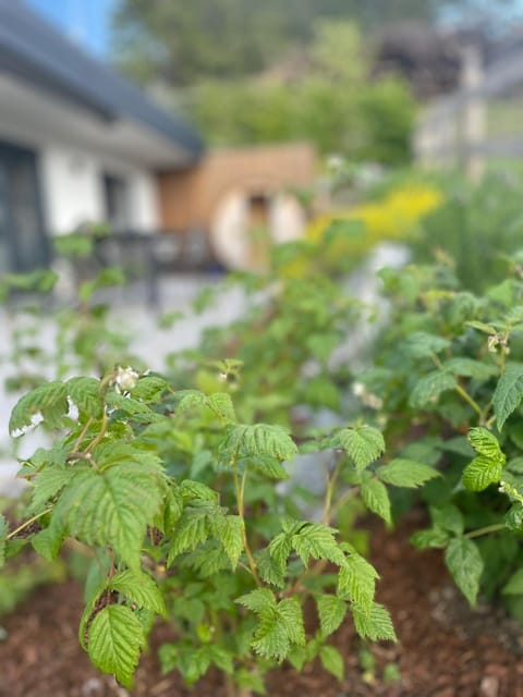 Property building, Spring, Day, Garden, Balcony/Terrace, Garden view