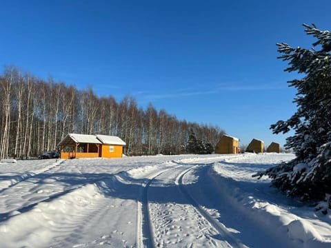 Domek na Roztoczu Sauna & Jacuzzi Chalet in Lviv Oblast