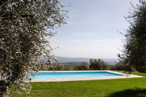Garden, Pool view, Swimming pool
