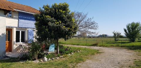 Petite maison refaite à neuf dans mas du 19ème siècle House in Arles