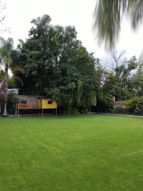 Garden, Garden view, Garden view