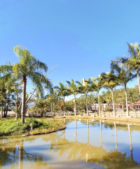 Fishing, Garden, Lake view