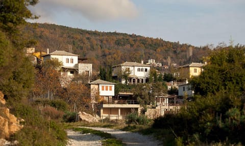 Great Pelion Villa Villa Thalia Private Pool 3 bedrooms Aghios Georgios Villa in Magnesia Prefecture, Greece