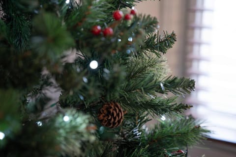 Redbanks Apartment Apartment in Ambleside