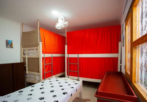 Bed, Photo of the whole room, Decorative detail, Bedroom, bunk bed