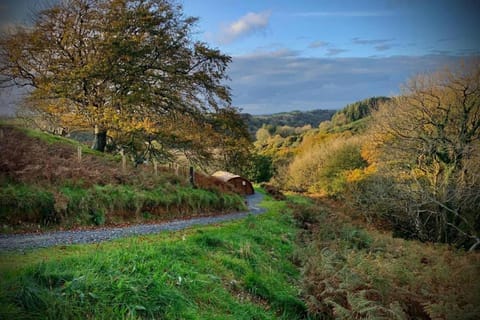 Birdsong Lodge Maison in Woolacombe