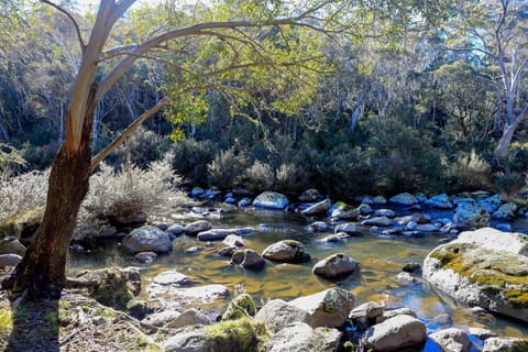 Big Yard Escapes - Two Off-Grid Tiny Houses on the Mowamba River Campground/ 
RV Resort in Jindabyne