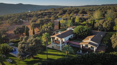 Property building, Bird's eye view