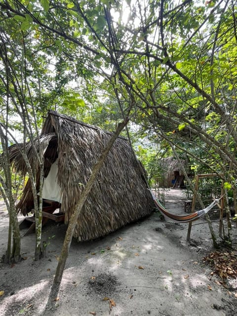 Eco-Camping Mango Feliz Rincón del Mar Campground/ 
RV Resort in Rincón
