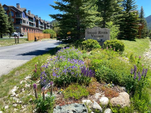 Snake River 1 by SummitCove Lodging House in Keystone