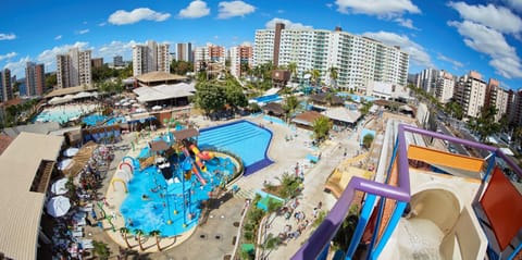 Aqua park, Swimming pool