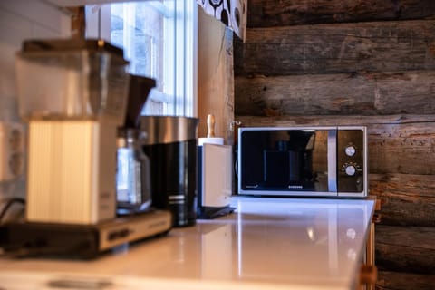 LepoRepo House in Lapland