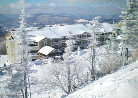 301 D Summit Dr. , Snowshoe Mountains, WV 26209 Condo in Snowshoe