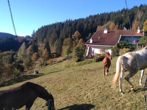 Charmant gîte avec terrasse, WiFi et garage moto à Gérardmer - FR-1-589-133 House in Gérardmer