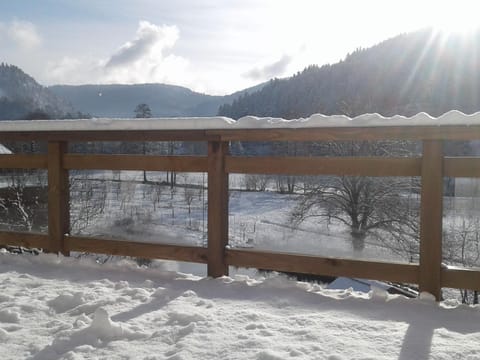 Gîte 4 étoiles avec sauna et terrasses pour 14 pers. - FR-1-589-319 House in Vosges