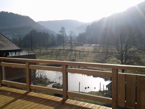 Gîte 4 étoiles avec sauna et terrasses pour 14 pers. - FR-1-589-319 House in Vosges