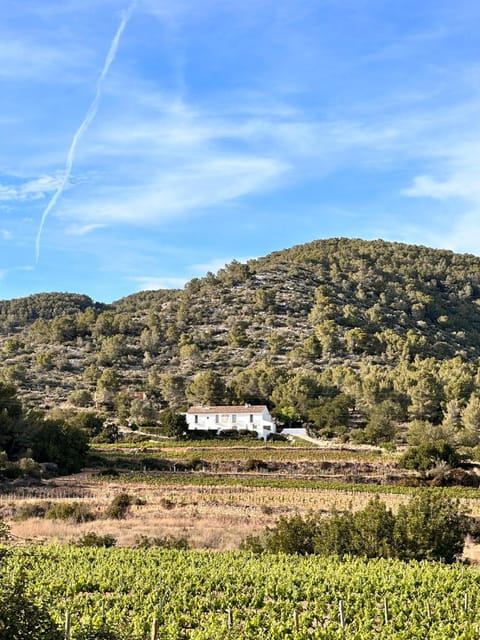 Villa Masia Capdet Villa in Garraf