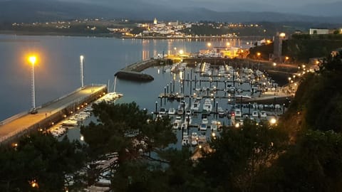 Nearby landmark, Night, Natural landscape, Bird's eye view, City view, Mountain view, River view, Sea view