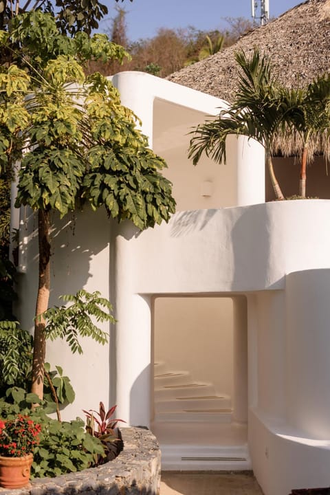 Property building, Garden view