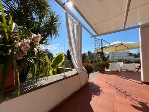 Patio, Day, Garden, Balcony/Terrace, Garden view