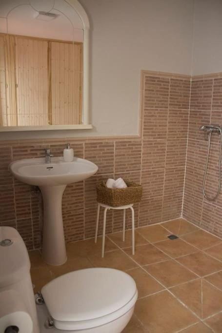 Shower, Toilet, Bathroom, bidet