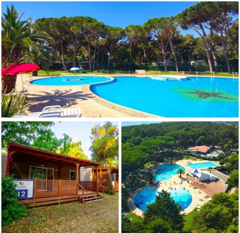 Property building, Pool view, Swimming pool, sunbed