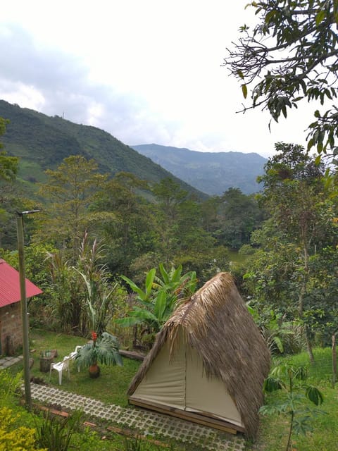 Natural landscape, Mountain view