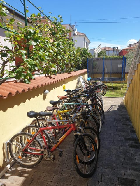 Activities, Cycling