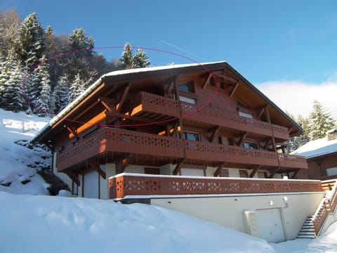 Appartement spacieux, proche pistes, 3*, WIFI, animaux acceptés - FR-1-304-265 Apartment in La Clusaz
