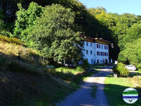 Property building, Spring, Summer