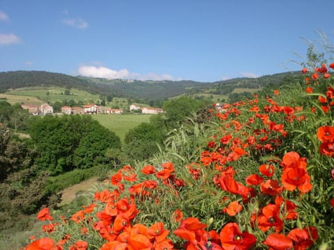 Maison pittoresque avec terrasse et BBQ, calme près de Langeac - FR-1-582-124 House in Auvergne-Rhône-Alpes