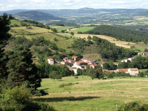 Maison pittoresque avec terrasse et BBQ, calme près de Langeac - FR-1-582-124 House in Auvergne-Rhône-Alpes