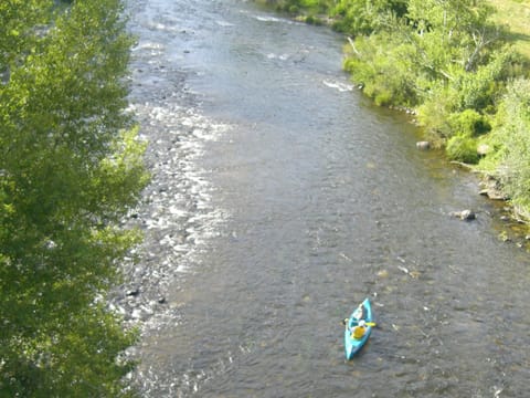 Maison pittoresque avec terrasse et BBQ, calme près de Langeac - FR-1-582-124 House in Auvergne-Rhône-Alpes
